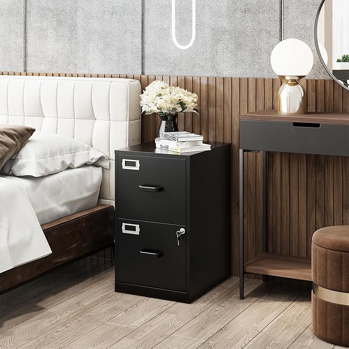 Fesbos 2 Drawers File Cabinet Metal Vertical Filing Cabinets Metal Lockable Storage Cabinets with Lock for Home Office to Hanging Files